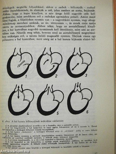 Szívbetegségekről szívbetegeknek