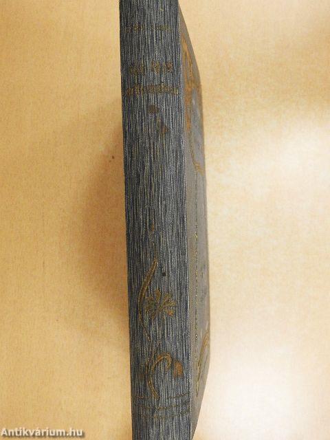 Egy férfi vallomásai és életképek