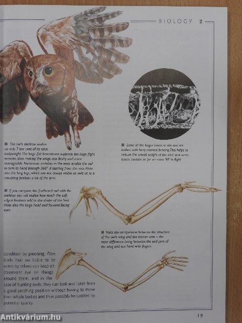 Understanding OWLS