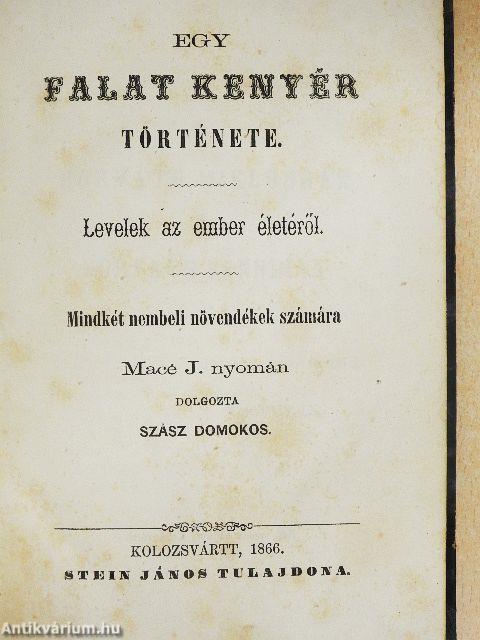 Egy falat kenyér története