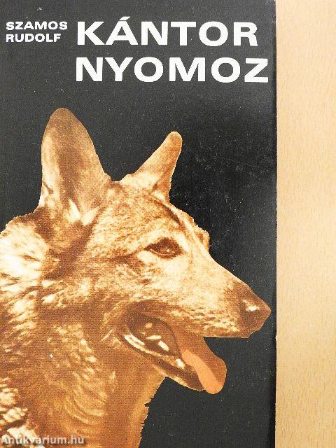 Kántor nyomoz
