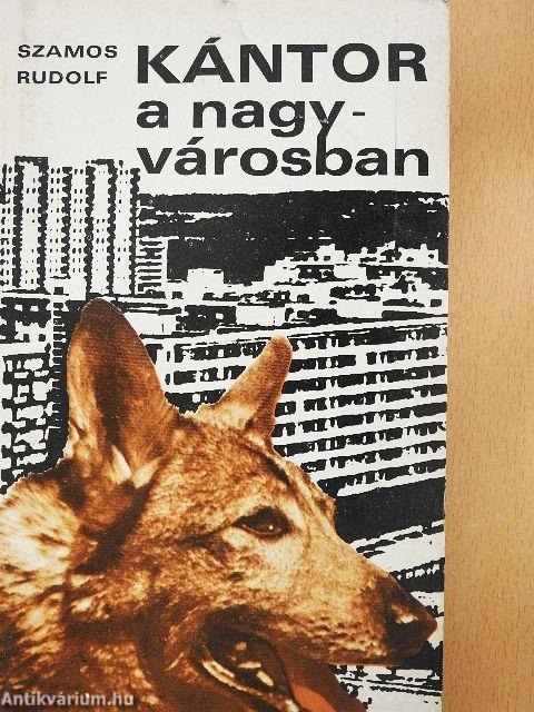 Kántor a nagyvárosban