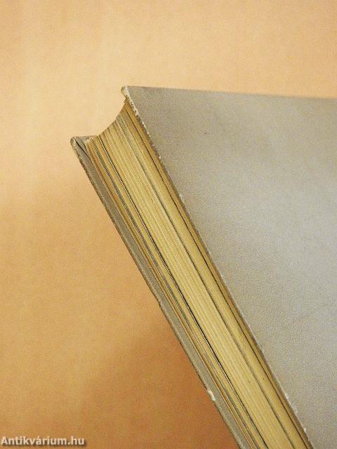 Inkognitóban Dél-Afrikában