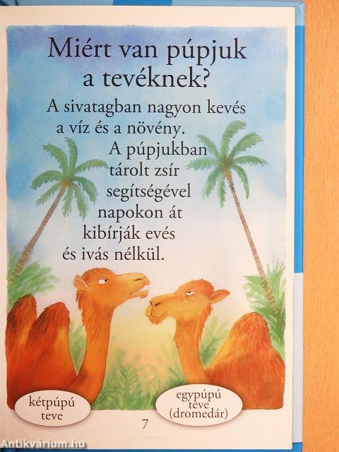 Kérdések az állatokról