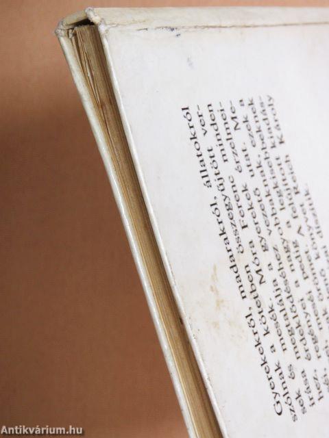 Sétálni megy Panka...