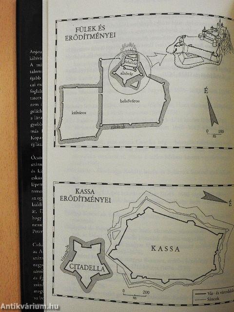 Vörös-kék lobogók/A kuruc király/Arany és vér