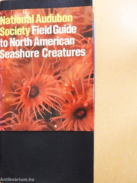 National Audubon Society Field Guide to North American Seashore Creatures
