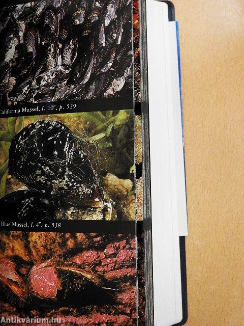 National Audubon Society Field Guide to North American Seashore Creatures