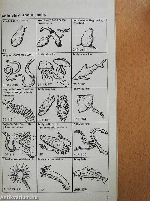 The Hamlyn Guide to the Flora and Fauna of the Mediterranean Sea