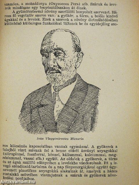 Gyümölcstermesztés