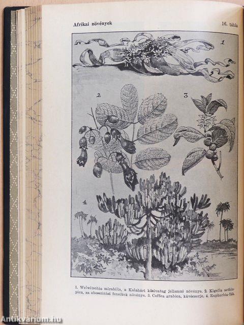 Uj idők lexikona 1-24.