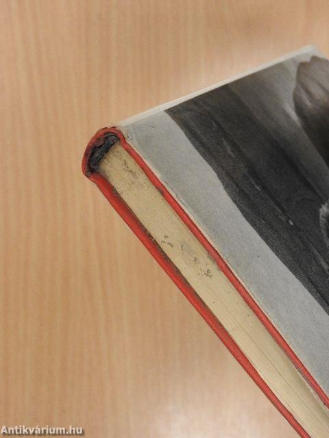 Egy lócsiszár virágvasárnapja/Csillag a máglyán