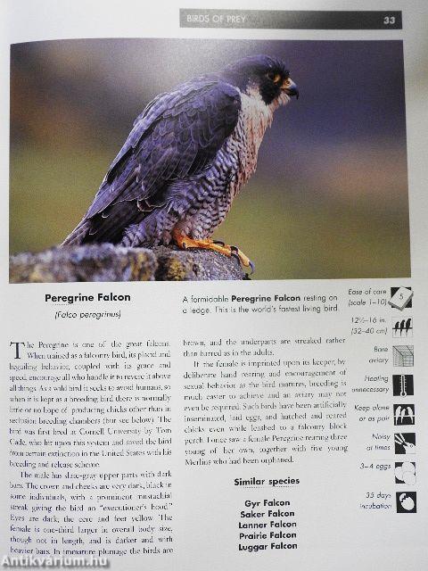 Cage and Aviary Bird Survival Manual