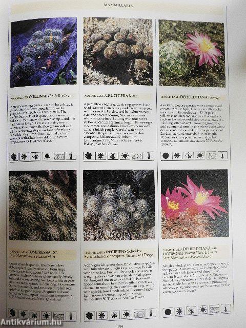 Cacti
