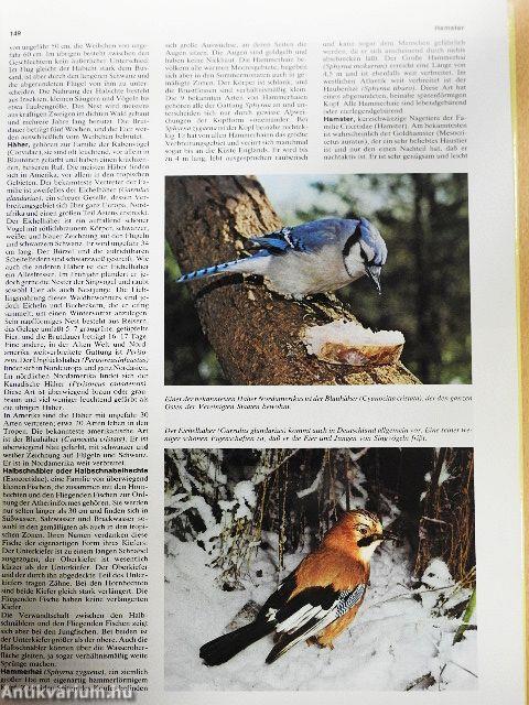 Tier-Lexikon in Farbe