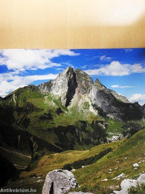 Faszination Allgäuer Bergwelt