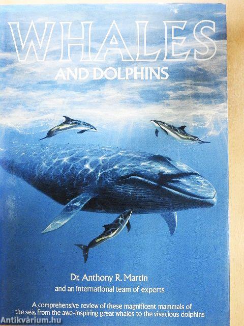 Whales and Dolphins