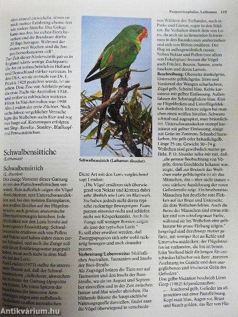 Das Papageien-Buch