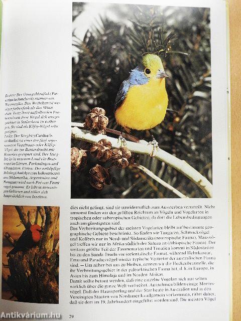 Das große Buch der Vögel in Käfig und Voliere