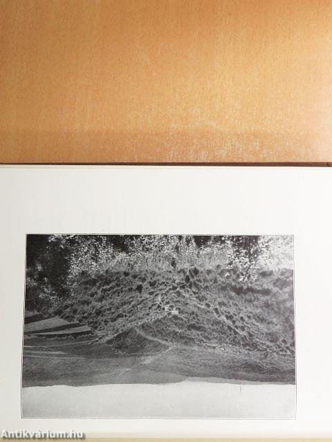 Magyar föld, magyar faj I-IV.