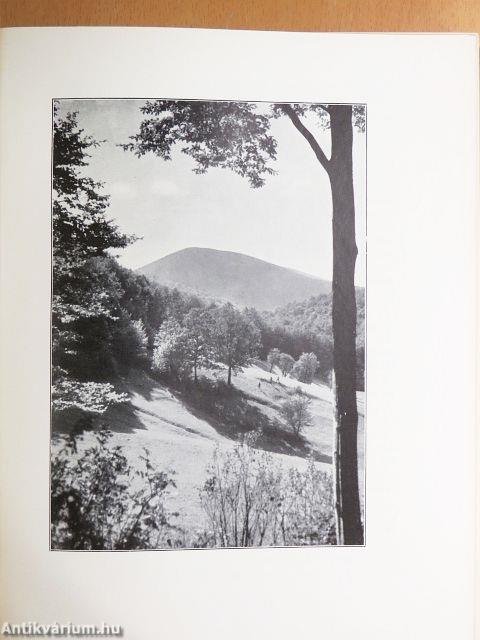 Magyar föld, magyar faj I-IV.