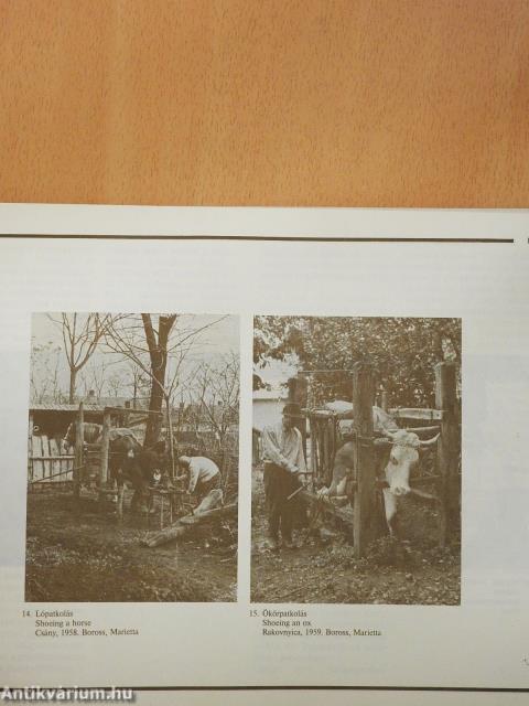 A magyar paraszti mezőgazdaság technikai újításai a 19-20. században (dedikált példány)