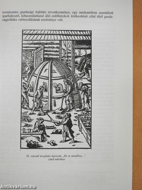 A Bükk hegység üveghutái (dedikált példány)