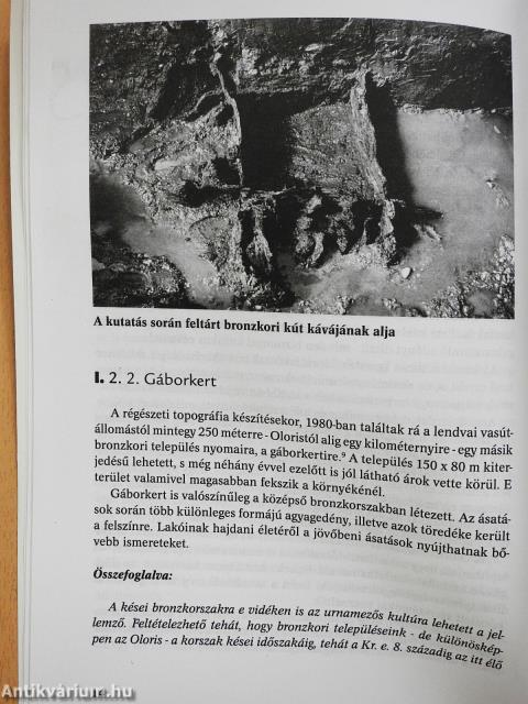 Fejezetek Lendva történetéből 1920-ig (dedikált példány)