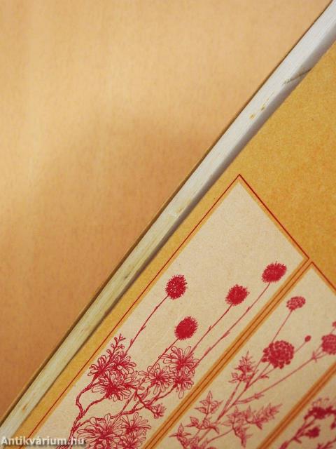 Természetvédelmi biológia (dedikált példány)