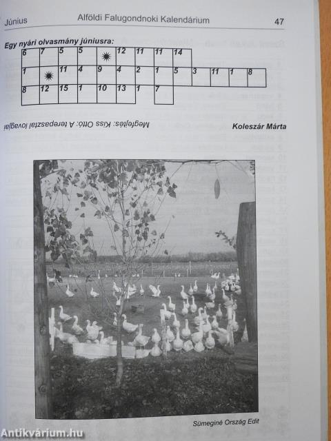 Alföldi falugondnoki kalendárium 2010 (dedikált példány)