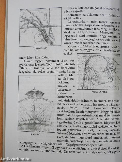 Kőszilánkok (dedikált példány)