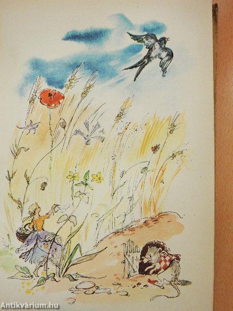 Andersen legszebb meséi