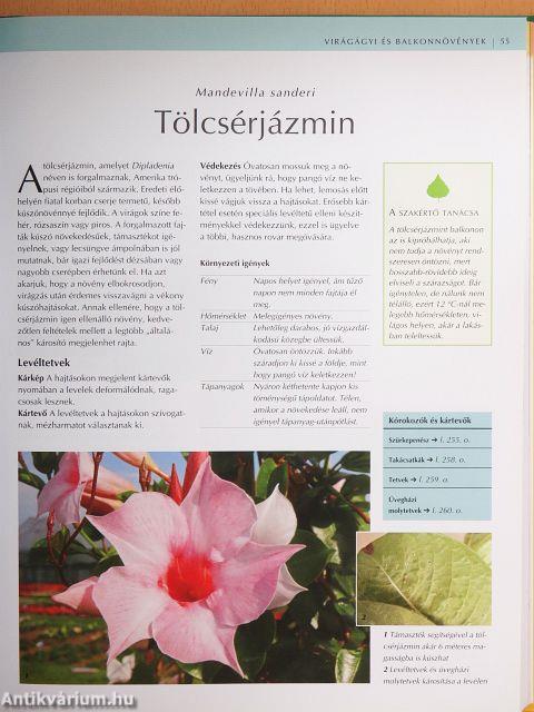 Mi a baj a növényemmel?