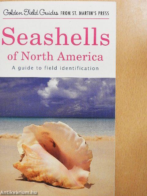Seashells of North America