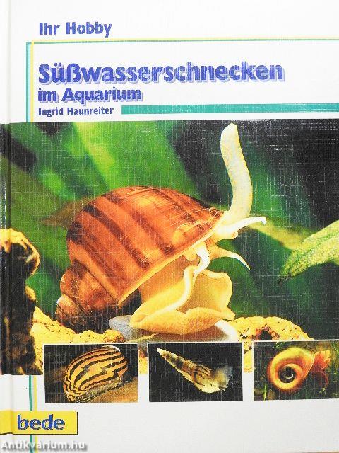 Süßwasserschnecken im Aquarium