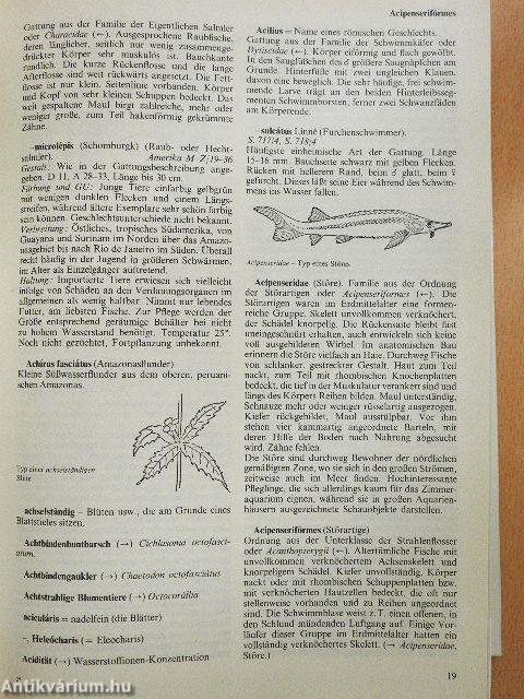 Das große Lexikon der Aquaristik