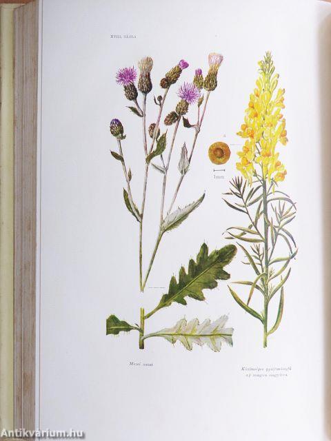 Mezőgazdasági Lexikon 1-2.