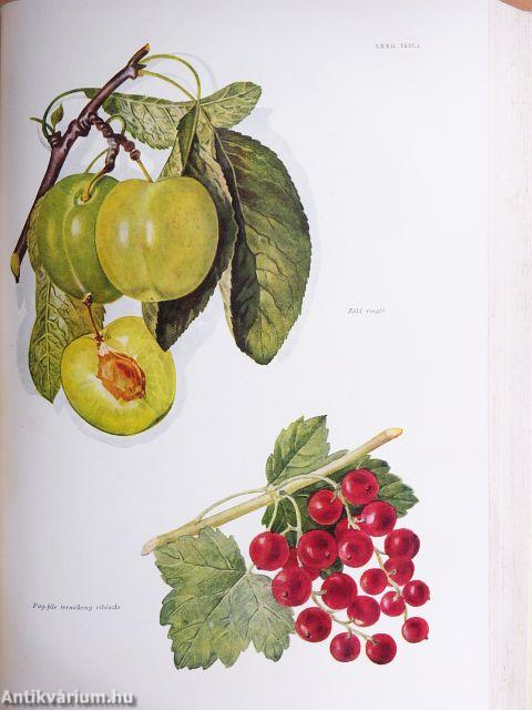 Mezőgazdasági Lexikon 1-2.