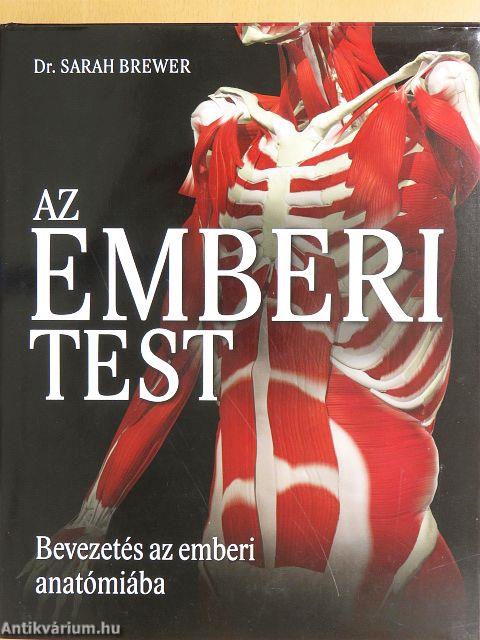 Az emberi test