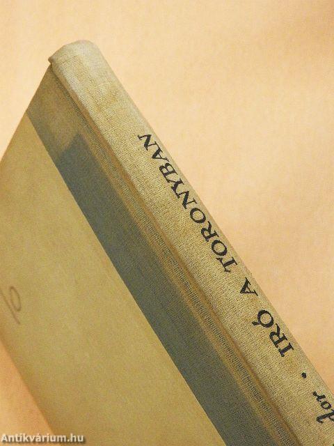 Író a toronyban