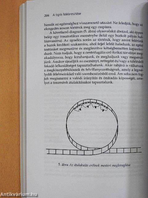 A tigris felébresztése