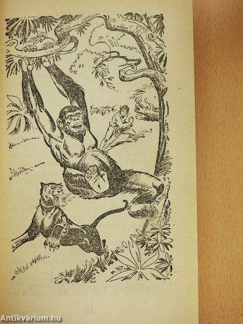 Tarzan dzsungeltörténetei
