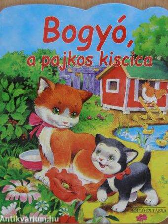 Bogyó, a pajkos kiscica