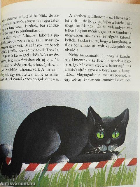 Szokatlan barátságok