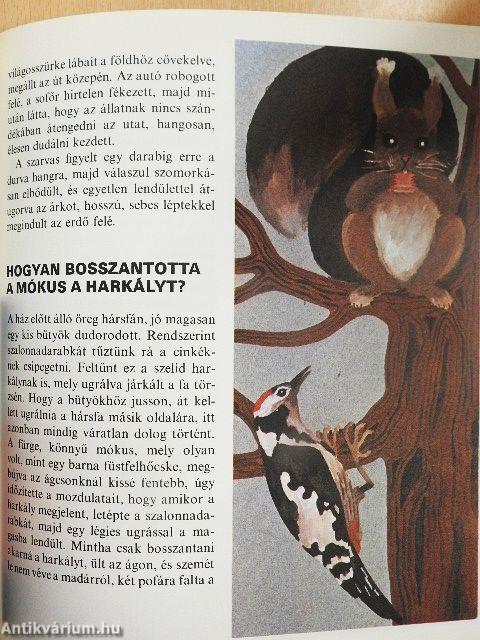 Szokatlan barátságok