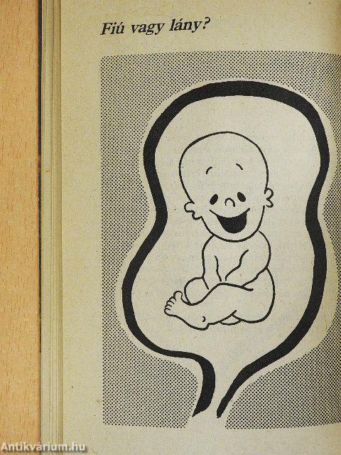 Hahó, megérkeztem!