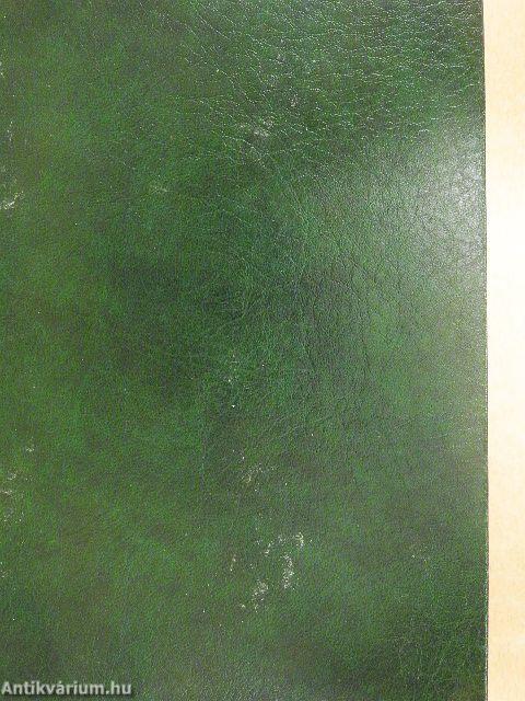 Angol-magyar kéziszótár