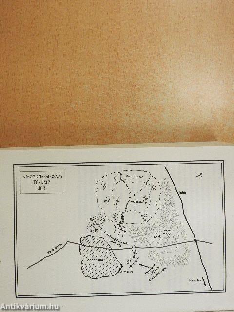 Farkasok születése