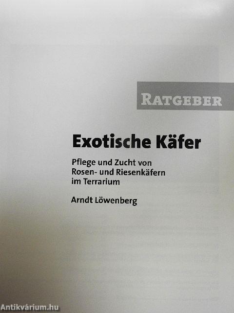 Exotische Käfer