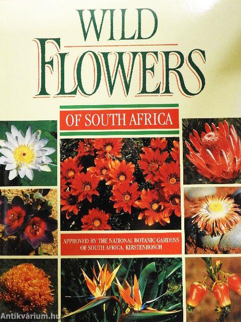 Wild Flowers of South Africa